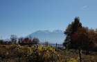 Teren la munte poiana marului brasov - 8