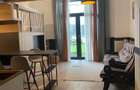 Apartament 1 camera cu gradina, Copou, Newton - 2