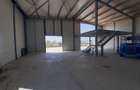 Hala noua 650mp zona Drumul Intre Tarlale - 3