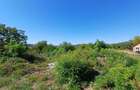 Resita, Teren Intravilan 473 Mp., Cu Utilitati, Zona Mociur - 6