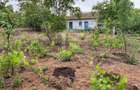Teren intravilan 2562mp Loc 23 August | Ideal locuiță sau casă vacanță - 5
