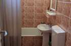 Apartament pe o strada linistita de case, zona Brancoveanu / Elisabetin - 7