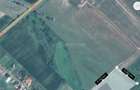 Teren 18.247 mp cu balta de pescuit Misca, Comuna Chislaz, Bihor