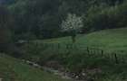 Vand Teren intravilan in Comuna Buce? ( Sat . Stanija ),Sup.1727 mp - 9