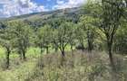 Teren Ampoita 1053 mp (2 parcele alipite 360 si 693 mp) - 4