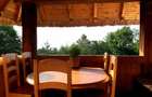 Casa rustica, exclusivista, 5 camere, 170 mp utili, 550 mp teren, Sali