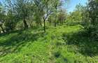 Casa DE VANZARE Str: Florilor Adamus - 18