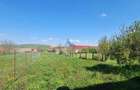 Casa de vanzare \ Hosman - Sibiu - 17