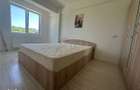 Inchiriere Apartament cu 2 camere Visani - 3