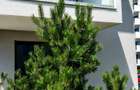 2 Camere Greenfield | Bloc 2024 | Parcare | Incalzire in Pardoseala - 11