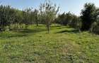 Vand tere extravilan in zona munte Corbisori Arges - 3