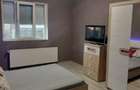 Apartament 3 camere Vladimirescu jud Arad - 7