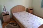 Dau in chirie apartament 2 camere Satu Mare, Micro 16 - 4
