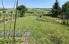 Casă de vânzare in Agnita cu căsută de vară si gradină - 10
