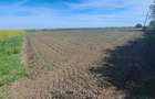 Proprietar - Vand 2 hectare la intrarea in Bencecu de Sus, front la drum asfaltat