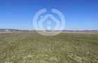 VANZARE TEREN ARABIL CRISTIAN, SIBIU | 11682 MP - 1