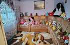Casă cu 4 camere cu Teren 400 Mp în Cătiașu - 4
