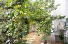 Apartament 3 camere cu gradina ?i loc de parcare in Greenfield - 13