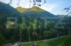 Teren de vanzare, 10.000 mp - Bistrita Bargaului, zona turistica - 9