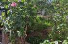 URGENT ! Casa 2 camere pe un nivel , Str. Basarabia , 78.800 euro neg.