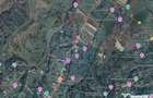 Teren Tohanul Nou 4500mp, in spate Wolf - 7