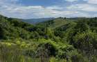 Teren intravilan, 1700 mp, Dangau