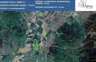 Oportunitate Investitie Industriala/Parc Logistic - 1