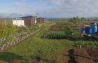 Teren Intravilan 470 mp – Horlești, Comuna Rediu (Proprietar) - 7
