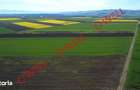 5 terenuri agricole de vanzare in Santionlunca! - 4