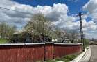 Teren, 48 ari, , cu casa batraneasca, Antoceni, Forasti, Suceava - 5