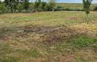 Vand casa, curte ?i gradina suprafa?a totala de 1645 mp - 4