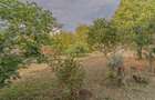 Vilă de închiriat P+1+M cu subsol, curte de 1.000 mp și livadă