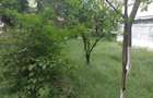 Apartament | 4 camere | 2 bai | Parter | Zona Verde | Tiglina3 - 2