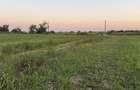 Ideal Investitie - Str Ctin Brancoveanu, zona noua, intravilan in noul - 13