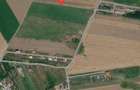 Teren de Vanzare Bolentin Deal Langa Ferma Cocosul Rosu , suprafata 10.213mp - 6