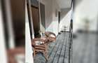 Apartament 3 camere confort sporit in zona buna Gheorgheni! - 6