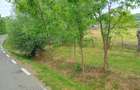 Teren intravilan 756 mp in localitatea Borozel, jud Bihor,, cu schi?a cadastrala ?i utilita?i - 3