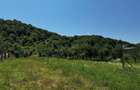 Teren intravilan de vanzare - Salatrucel, Valcea - 1