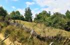🌲 Vând Teren Extravilan Fâneață, 1522 mp – Arefu, Jud. Argeș (Zona Transfăgărăș