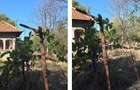 Casa si teren Odobesti, cota parte 1/2, ID: R2785160 - 5