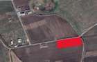 Teren Albota / zona Statiune - Papillon / 10.000 mp / Deschidere 142 m - 8