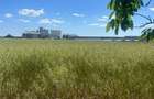 Vand teren in zona industriala, Santandrei, 23.500 mp - 4