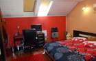 Casa P+M, 6 cam, Timisoara, Mehala, artera, curte comuna  - 8