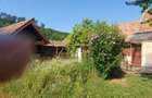 Casa cu gradina in Blaj - 7