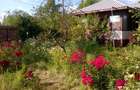 casa comuna Stanesti Giurgiu - 4