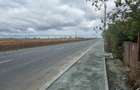 TEREN INTRAVILAN 706 MP – CUMPĂNA /ACCES DIRECT LA STRADA ASFALTATA