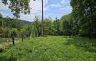 Vand Teren intravilan zona Varfuri, Dambovita - 6