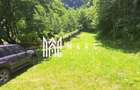 Paradis I Casa de lemn I Transalpina I Sugag - 9
