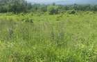 teren intravilan de vanzare 2500 mp