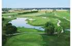 Golf tancabesti snagov 50,000MP - 10